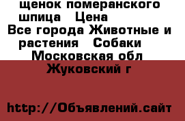 щенок померанского шпица › Цена ­ 45 000 - Все города Животные и растения » Собаки   . Московская обл.,Жуковский г.